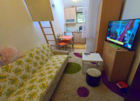 Apartman Premovic 2